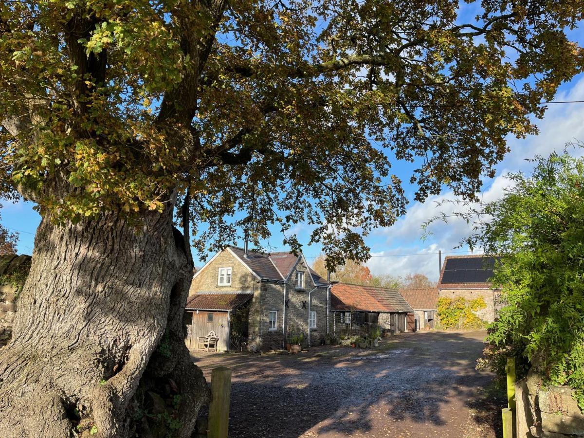 Appartamento The Bothy At Oak Farm Usk Esterno foto