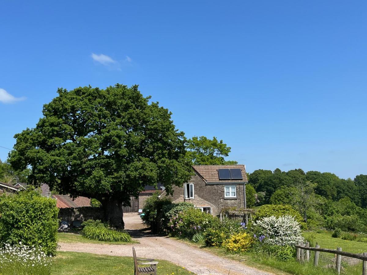 Appartamento The Bothy At Oak Farm Usk Esterno foto