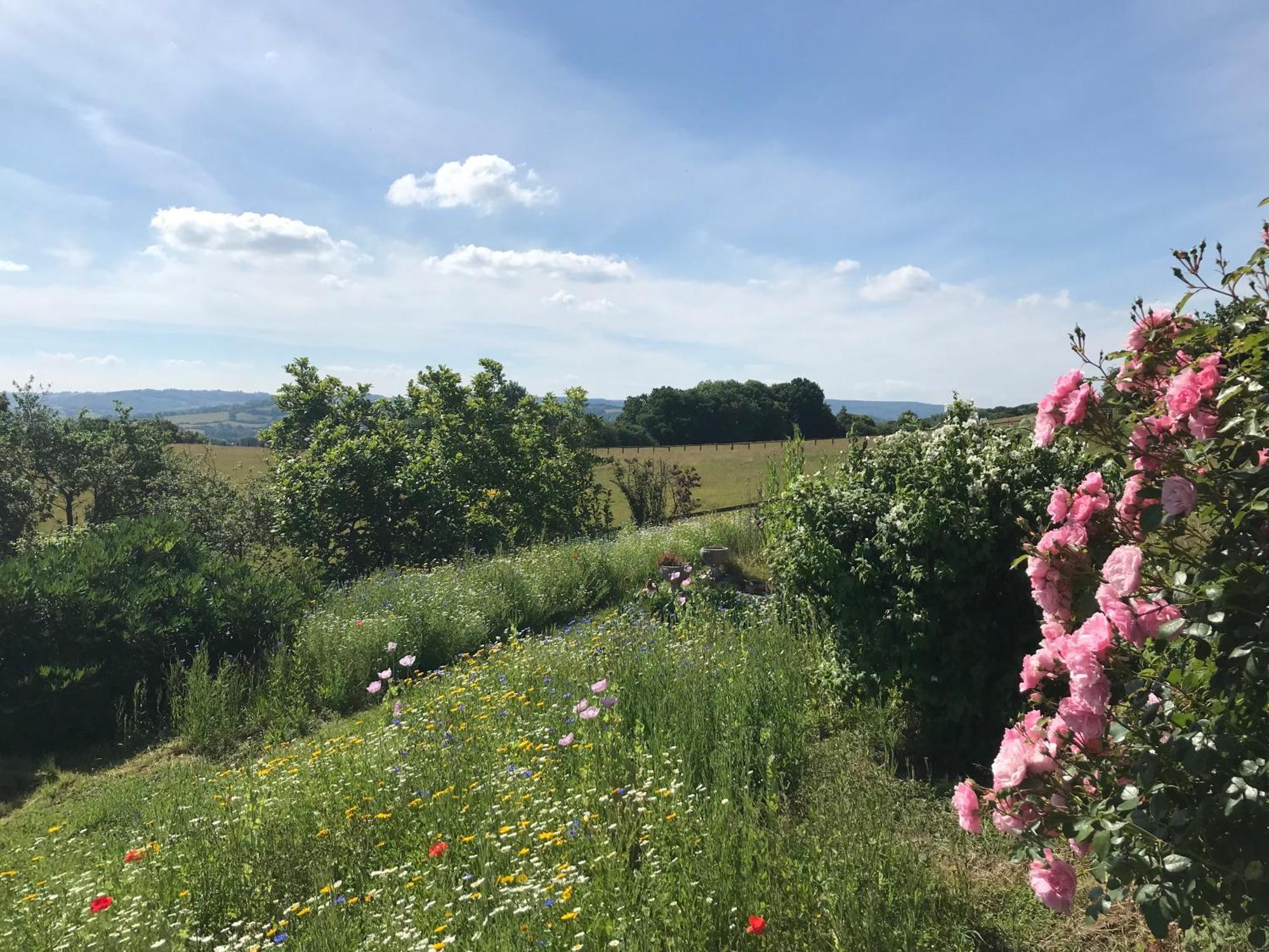 Appartamento The Bothy At Oak Farm Usk Esterno foto
